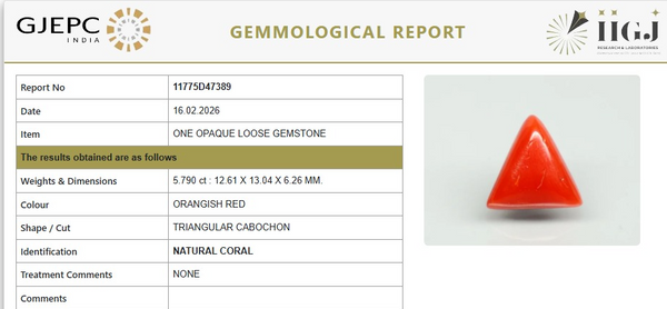 Natural Red Italian Coral |7H50| Triangular Cabochon | Govt. Lab Certified | Report No. 11775D47389