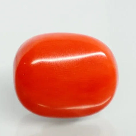 Natural Italian Red Coral (Moonga) 18.09 ratti, certified (report 12992D53466) – Tushar Gems