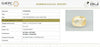 Natural Yellow Sapphire | CushionMixed Cut | Transparent | Govt. Lab Certified | Report No. 10701D43163