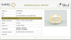 Natural Yellow Sapphire | Cushion Mixed Cut | Transparent | Govt. Lab Certified | Report No. 10701D43160