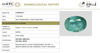 IIGJ certificate 13760D56711 for natural Emerald from Tushar Gems