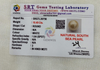 SRT Gems Testing Laboratory certificate SRGTL30756 for Natural South Sea Pearl from Tushar Gems