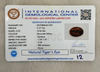 Tiger Eye The Essence of Grounding and Strength Summary No IGCDKBAJ61455