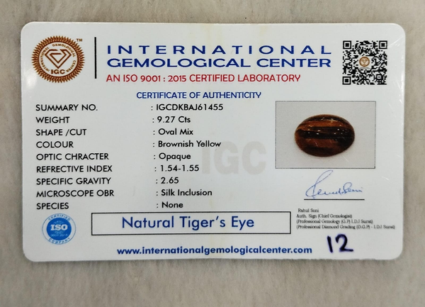 Tiger Eye The Essence of Grounding and Strength Summary No IGCDKBAJ61455
