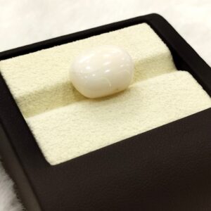 Natural White Coral: The Symbol of Peace and Strength