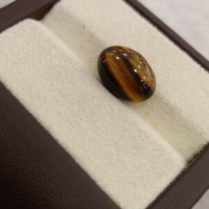 Tiger Eye The Essence of Grounding and Strength Summary No IGCDKBAJ41304