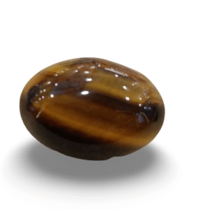 Tiger Eye The Essence of Grounding and Strength Summary No IGCDKBAJ41304