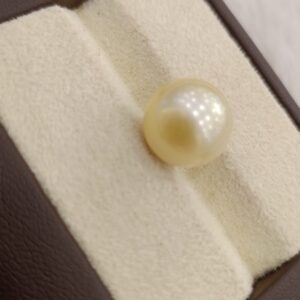 Natural South Sea Pearl – A Symbol of Elegance & Purity Summary No IGCDKBAJ42633