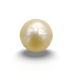 Natural South Sea Pearl – A Symbol of Elegance & Purity Summary No IGCDKBAJ42633