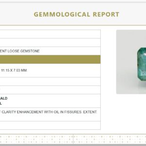 9.96 Ratti Certified Natural Emerald | Octagon Step Cut | Govt. Lab Certified