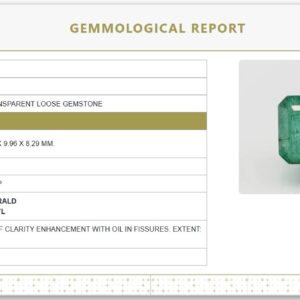 11.02 Ratti Certified Natural Emerald | GJEPC Certified | Octagon Step Cut