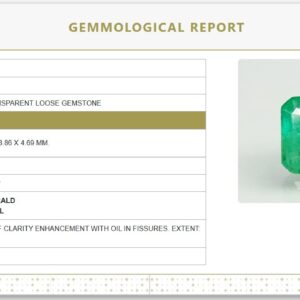 Natural Emerald | Octagon Step Cut | Govt. Lab Certified No. 6810D26565