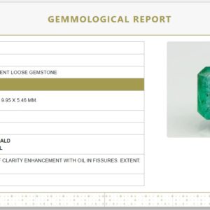Natural Emerald | Govt. Lab Certified | Octagon Step Cut No. 6810D26566
