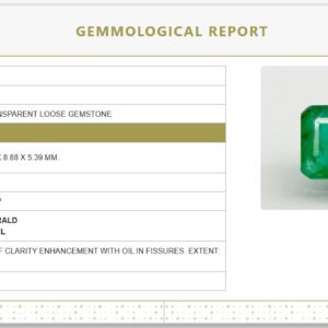 Natural Emerald | Govt. Lab Certified | Octagon Step Cut Certificate No.: 6810D26567