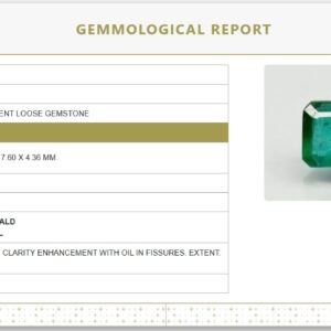 Natural Emerald | Octagon Step Cut | Transparent | Govt. Lab Certified No. 7876D31504