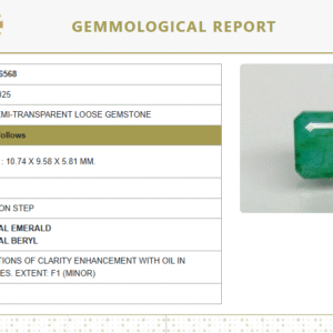 Natural Emerald | Octagon Step Cut | Govt. Lab Certified No. 8980D36568