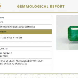 Natural Emerald | Govt. Lab Certified | Octagon Step Cut 8980D36569