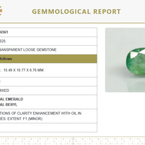 Natural Emerald | Govt. Lab Certified | Oval Mixed Cut | Green 8980D36561