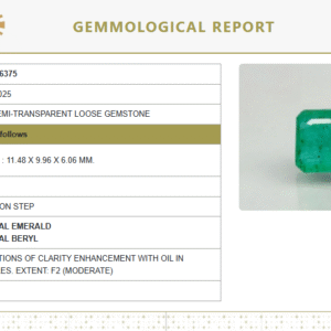 Natural Emerald | Octagon Step Cut | Semi-Transparent | Govt. Lab Certified No. 8926D36375