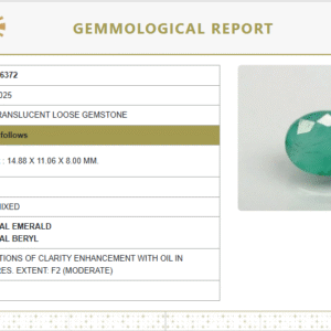 Natural Emerald | Govt. Lab Certified | Oval Mixed Cut 8926D36372