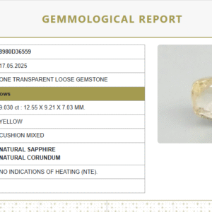 10.03 Ratti Natural Yellow Sapphire | Cushion Mixed Cut | Transparent | Govt. Lab Certified | Unheated | 8980D36559