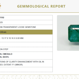 Natural Emerald | Govt. Lab Certified | Octagon Step Cut No.: 7876D31502