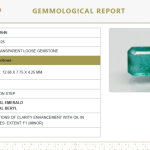 Natural Emerald 4.11 Ratti | Octagon Step Cut | Govt. Lab Certified No.: 7921D31646