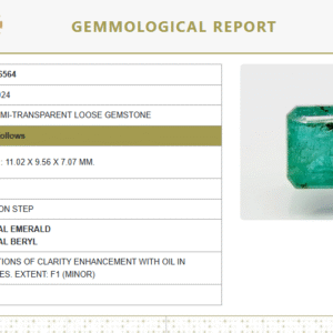 Natural Emerald | Octagon Step Cut | Govt. Lab Certified | Semi-Transparent  No.: 6810D26564
