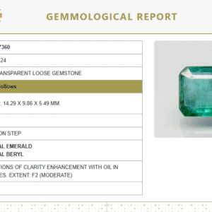 Natural Emerald | Octagon Step Cut | Govt. Lab Certified