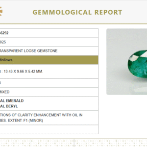Natural Emerald | Govt. Lab Certified | Oval Mixed Cut No.: 8891D36292