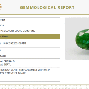 Natural Emerald | Oval Mixed Cut | Govt. Lab Certified No.: 6938D27091
