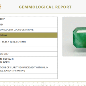 Natural Emerald | Octagon Step Cut | Govt. Lab Certified No.: 6938D27097