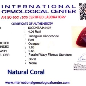 Natural Italian Red Coral | IGC Certified | Triangular Cabochon Summary No.IGCDKBAJ42407