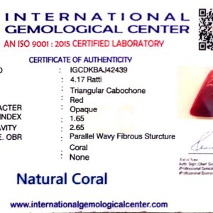 Natural Italian Red Coral | Certified Triangular Cabochon | Untreated Summary No. IGCDKBAJ42439