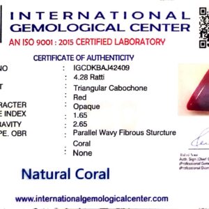 Natural Italian Red Coral | Certified Untreated | Triangular Cabochon No. IGCDKBAJ42431
