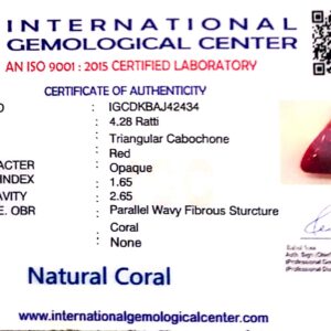 Natural Italian Red Coral | Certified Untreated | Triangular Cabochon No. IGCDKBAJ42434