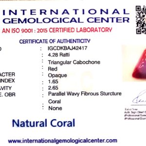 Natural Italian Red Coral | Certified Untreated | Triangular Cabochon No. IGCDKBAJ42417