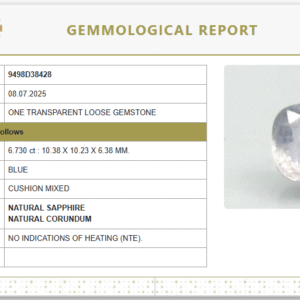 Natural  Blue Sapphire  | Octagon step  | Unheated | Govt. Lab Certified 9498D38428