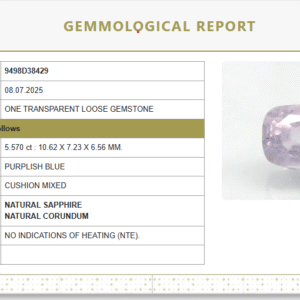 Natural Purplish Blue Sapphire  | Oval  Mixed Cut | Unheated | Govt. Lab Certified 9498D38429