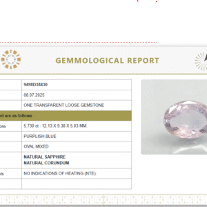 Natural Purplish Blue Sapphire  | Oval  Mixed Cut | Unheated | Govt. Lab Certified | 9498D38430