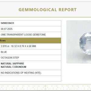 Natural  Blue Sapphire  | Octagon step  | Unheated | Govt. Lab Certified 9498D38431
