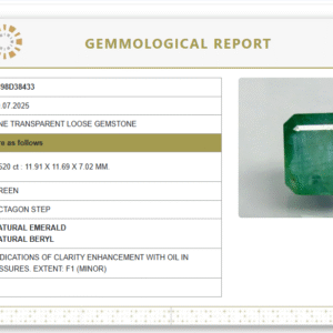 Natural Emerald | Govt. Lab Certified | Octagon Step  Cut | Green Report No.9498D38433