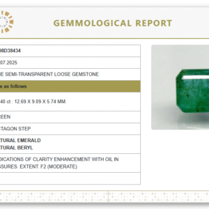 Natural Emerald | Govt. Lab Certified | Octagon Step  Cut Report No. 9498D38434