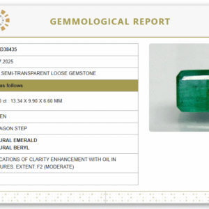 Natural Emerald | Govt. Lab Certified | Octagon Step  Cut Report No. 9498D38435