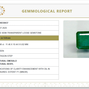 Natural Emerald | Govt. Lab Certified | Octagon Step  Cut | Green Report No.9498D38437