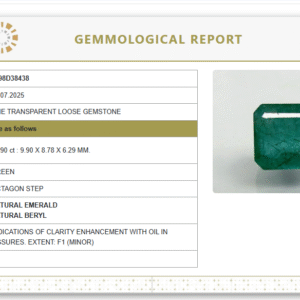 Natural Emerald | Govt. Lab Certified | Octagon Step  Cut | Green Report No.9498D38438