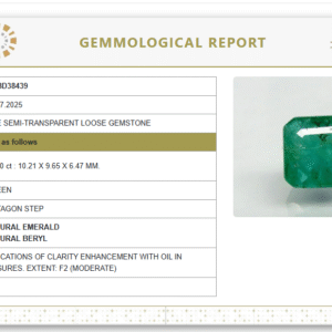 Natural Emerald | Govt. Lab Certified | Octagon Step  Cut Report No. 9498D38439