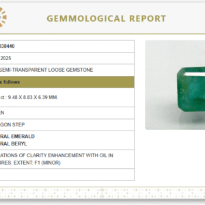 Natural Emerald | Govt. Lab Certified | Octagon Step  Cut | Green Report No.9498D38440