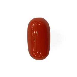 Natural  Red Coral | Certified  | Oval Cut  Gemstone Summary No. IGCDKBAJ44887