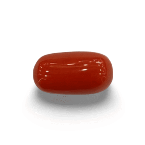 Natural  Red Coral | Certified  | Oval Cut  Gemstone Summary No. IGCDKBAJ44887